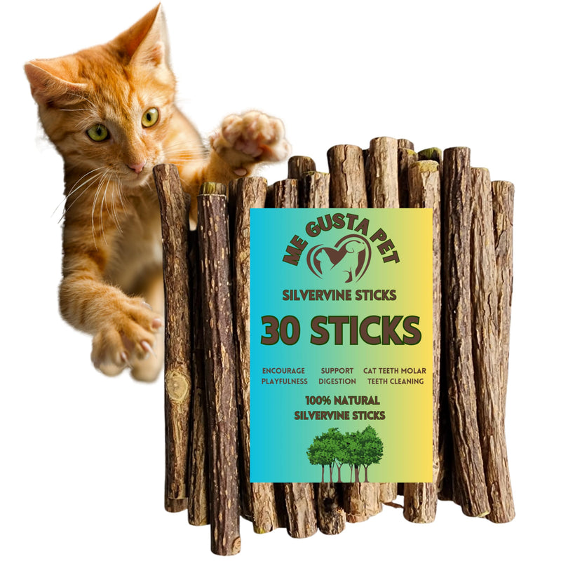 Cat Toys Silvervine Sticks for Cats | Matatabi Cat Chew Stick | Cat Toy Catnip Sticks Organic Cat Chew Toys | Wooden Stick Kitten Teething | Silvervine Sticks for Cat (Pack of 30) - BeesActive Australia