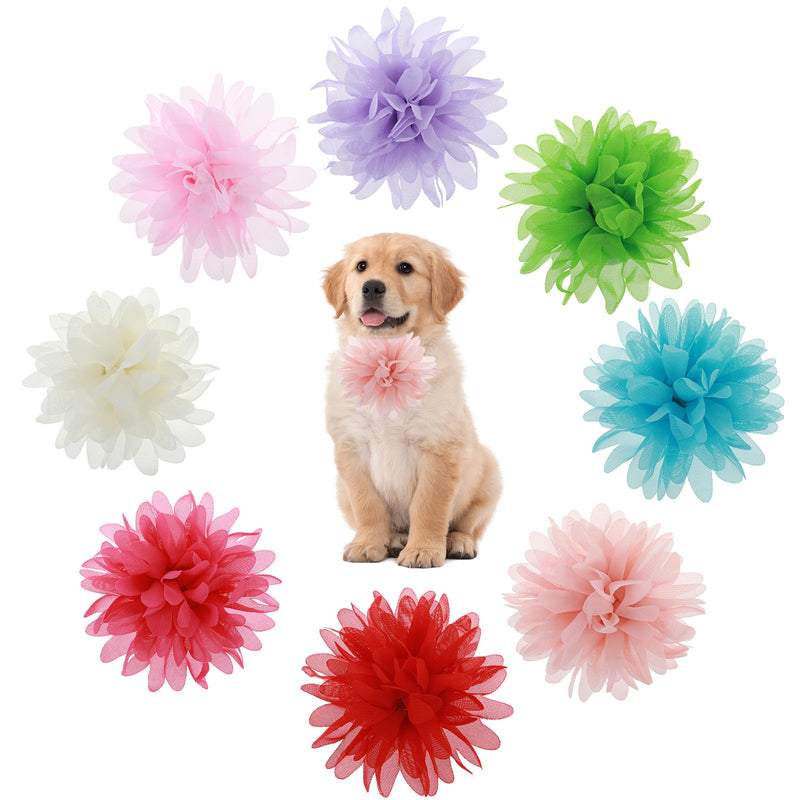 8 Pcs Dog Collar Flowers Pet Collar Flowers Dog Collar Charms Dog Bows Girl Dog Accessories Dog Bows with Rubber Bands - BeesActive Australia