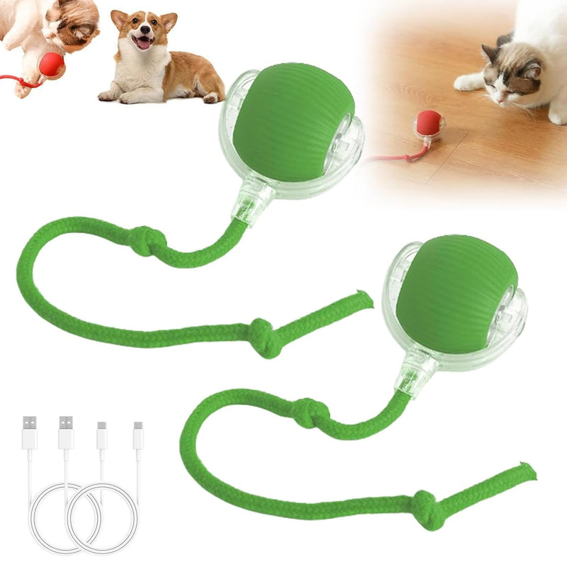 2PC Interactive Rolling Dog Ball,Interactive Dog Ball,Interactive Cat Ball Toy,Interactive Cat Dog Toys Ball Fast Rolling,360° Smart Automatic Rolling Pet Ball (Green) 2PC Green