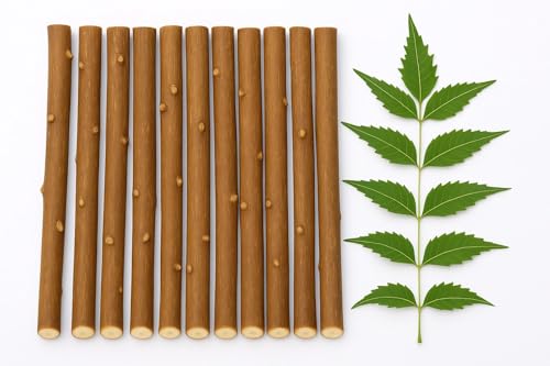 Natural Ayurvedic Half Dried Neem Datun Sticks, Natural Neem Twigs for Manual Tooth Cleaning, Wooden Chew Sticks, Traditional Brushing Alternative, 6-7 Inch, Pack of 10 + 1 Free