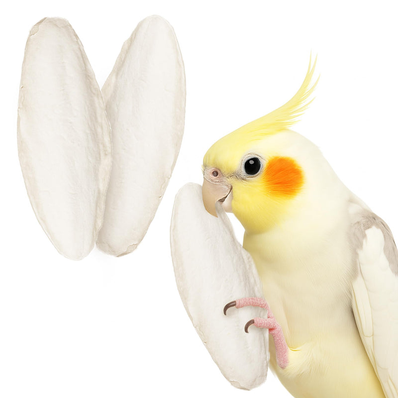 SunGrow 3 Pack Cockatiel Cuttlefish Bone, Calcium Addition to Bird Beak Care, Cage Mount Holder NOT Included, Support Shell Strength, Turtle, Shrimp, Dog, Snail, Aviary Clip, Accessory Reptile Small, 3 Pieces