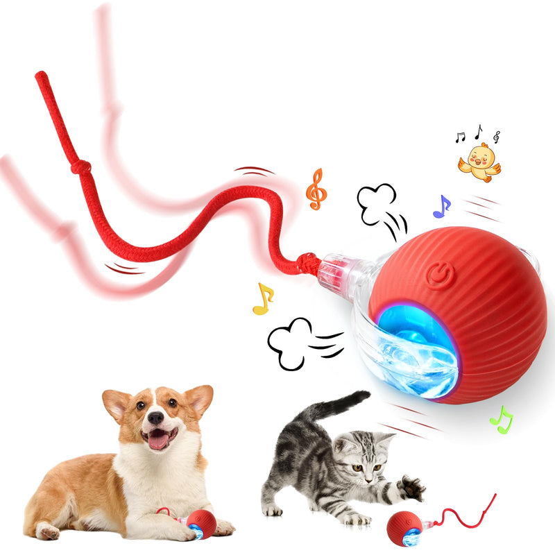 Interactive Cat Toy - Cat Toys for Indoor Cats Smart Silicone Rolling Ball with Tail,Bird Sound,Obstacle Avoidance and Motion Activated,Kitten Puzzle Toys for Bored Indoor Adult Cats & Dogs (Red) Red - BeesActive Australia