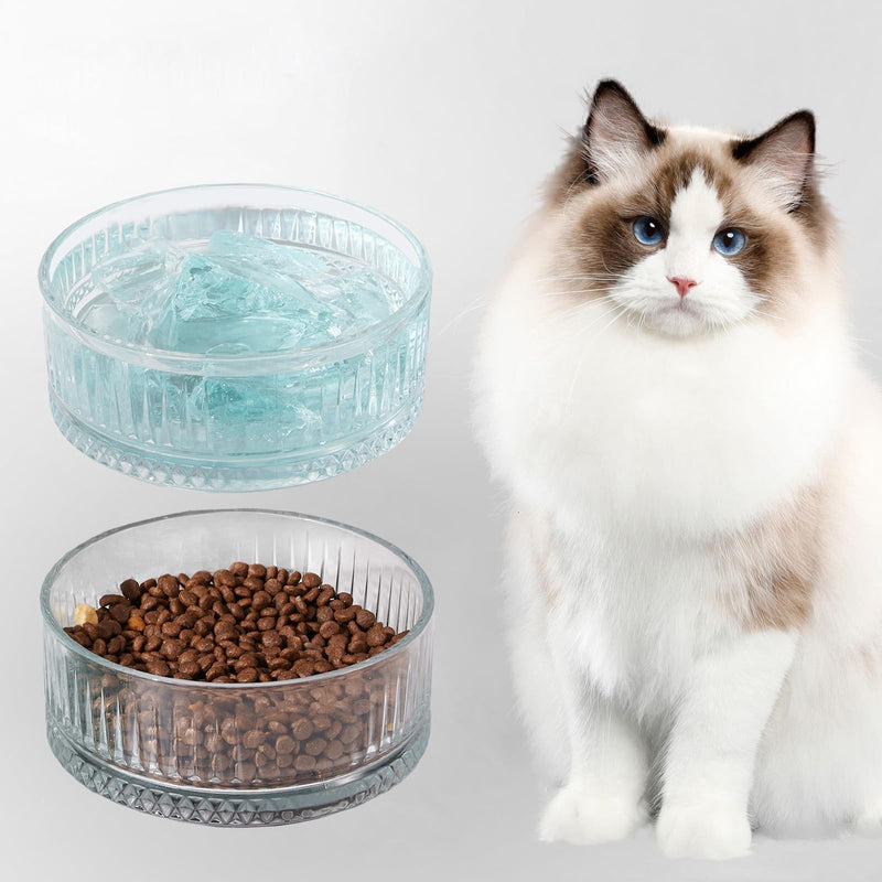 Set of 2 Glass Cat Bowls, Food and Water Bowls for Cats, Kity, 2pcs Cat Dishes, Cat Feeder (5.1 inch, 2 x Transparent Dish Bowls Glacial Rocks Raise The Water Level - BeesActive Australia