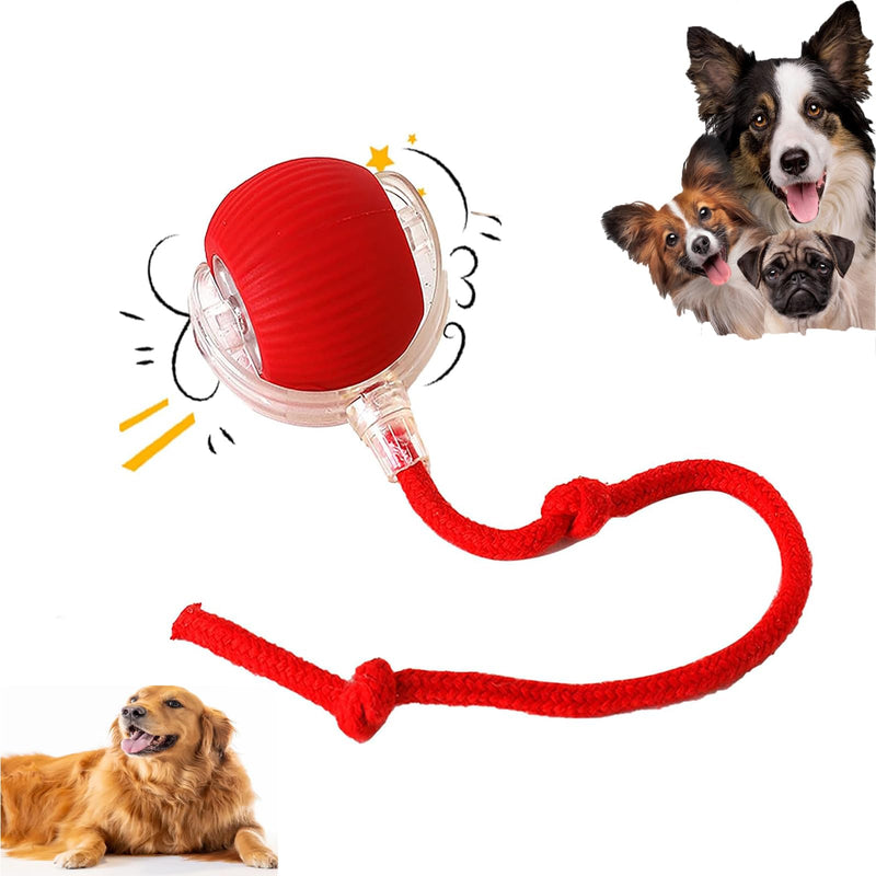 Interactive Rolling Dog Ball,Interactive Rolling Ball Dog Toy,Interactive Rolling Ball Dog Toy,Electric Dog Ball Toy,Electric Dog Ball,360° Smart Automatic Rolling Pet Ball(Red) - BeesActive Australia