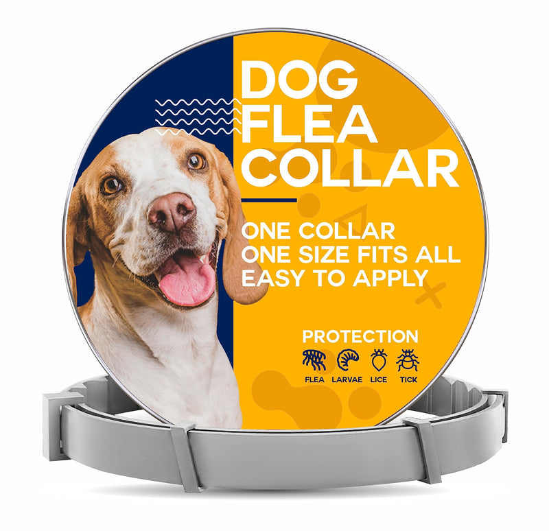 Flea and Tick Prevention for Dogs - Adjustable - One Size Fits All - BeesActive Australia