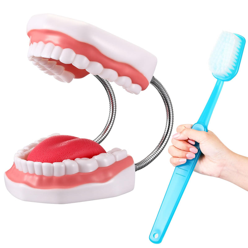 Baderke Huge Mouth Model with Hinge and Giant Toothbrush Set for Speech Therapy, Brushing Teaching Dental Teeth Model, Dental Hospital Health Education Tool(Blue) Blue - BeesActive Australia
