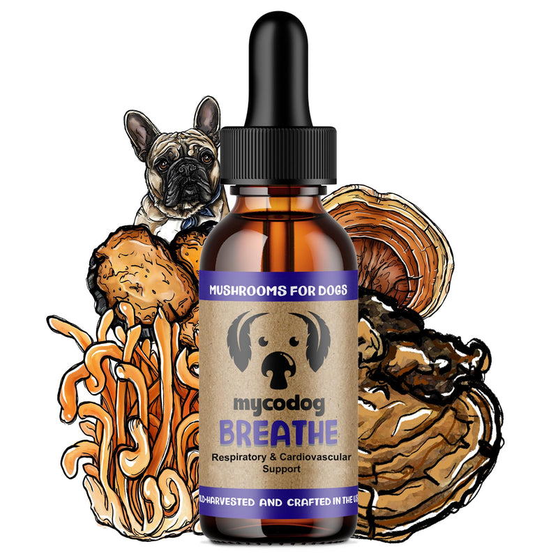 MycoDog Breathe Dog Allergy Relief Drops 2 fl. oz.: Mushroom Extracts & Ashwagandha Tincture | Respiratory Support Itch Relief for Dogs | Chaga & Reishi Mushroom Blend