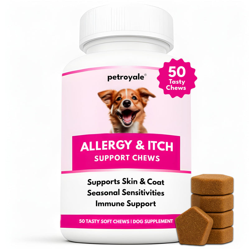Dog Allergy & Itch Support Chews – Dog Allergy and Immune Chews – Skin, Coat & Seasonal Itch Relief – Dogs Allergy Chews- Dogs Itch Relief - Skin Allergy Relief (50 Soft Chew) 50 Soft Chew