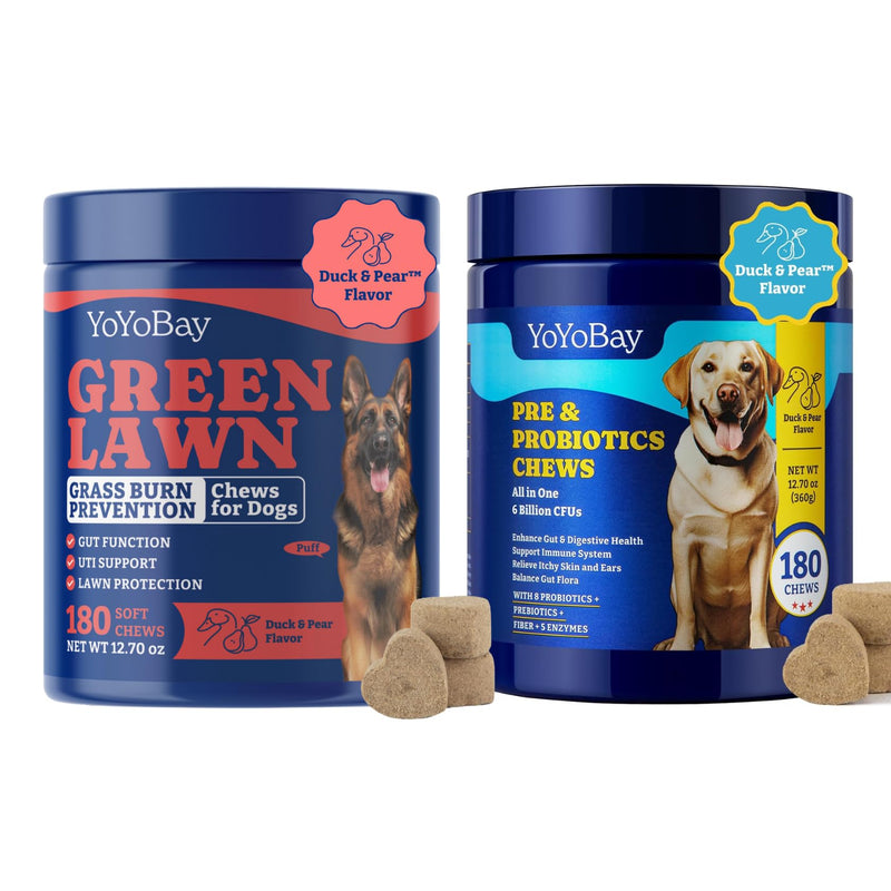 Probiotics for Dogs - Dog Probiotics for Digestive Health + Grass Burn Spot Chews for Dogs, 180 Soft Chews Eachs, Duck & Pear Flavor