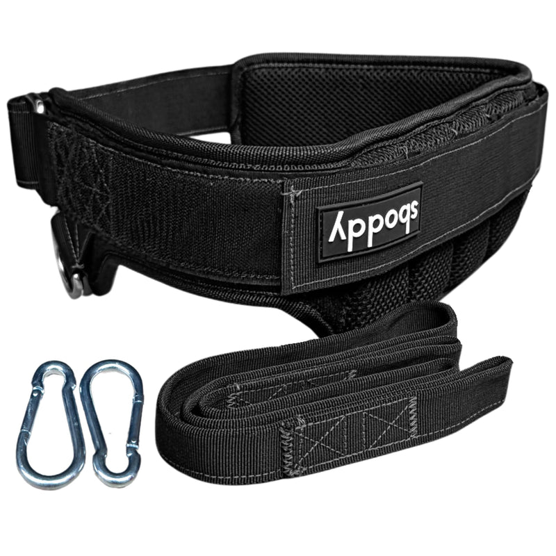 Women’s Dip Belt for Weighted Pull-Ups, Squats & Dips – Curve-Hugging Fit for 28"-44" Waists – 2 Straps + Carabiners – Comfortable Back Support, Up to 300 lbs.