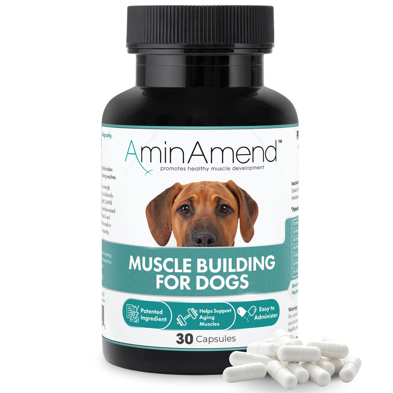 Muscle Support Dog Supplements for Large Breed (21lbs+) with CaHMB & Vitamin D3 – Supports Strength, Mobility & Daily Activity for All Ages & Senior Dog – (30 Capsules) 430 mg