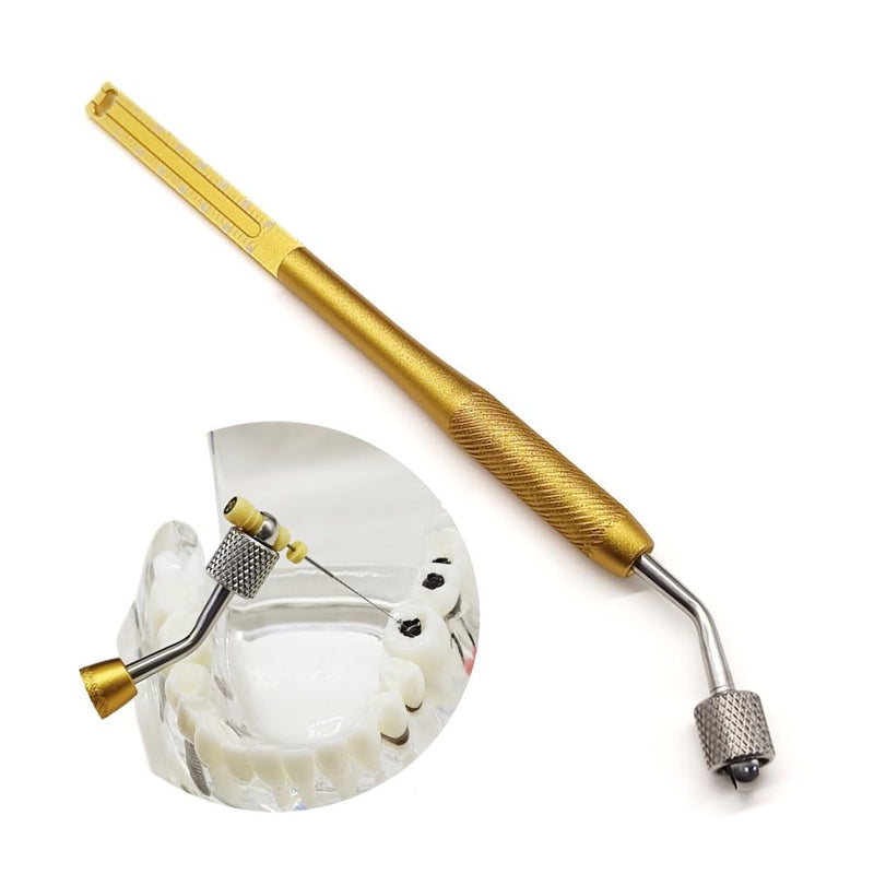 1 piece Dental Handuse Files Gripper Endodontic Files Holder Root Canal Files Machine Rotary Files Holder with Endo Ruler