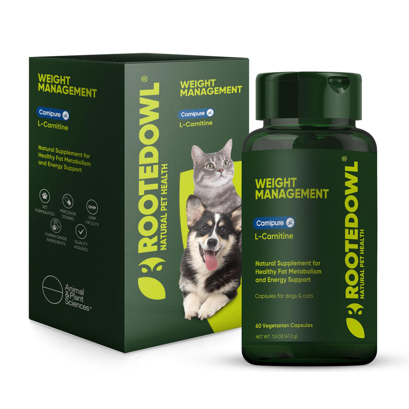 Rooted Owl Metabolism Support - L-Carnitine Supplement for Dogs and Cats to Support Healthy Weight - Dog and Cat Supplement - 60/ct Weight Management