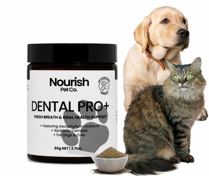 Nourish Pet Co. Dental Pro+ Pet Dental Powder, Cat & Dog Teeth Cleaning Powder, Breath Freshener, Fights Plaque and Tartar, Natural Ingredient Food Topper, 60 Servings