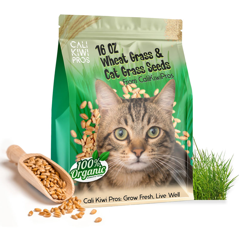 Organic Cat Grass for Indoor Cats & Pets-Wheat Grass for Digestion and Hairballs - Non-GMO - 16 - oz