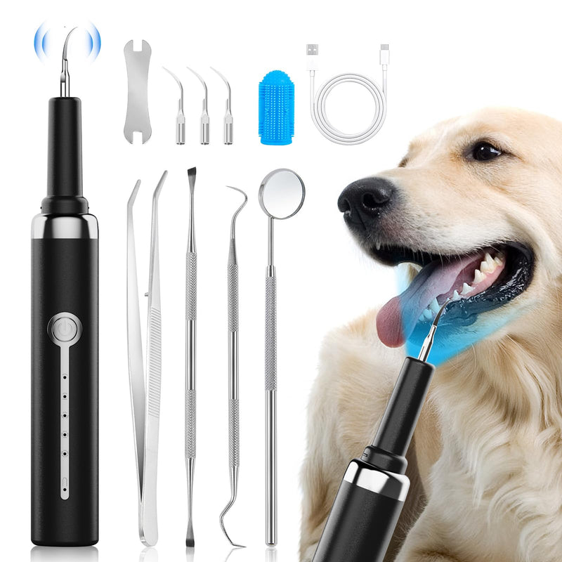 Plaque and Tartar Remover Kit for Dogs,Low Noise Waterproof Ultrasonic Tartar Remover for Pets,Adjustable 5 Modes of Cleaning Intensity (Black) Black - BeesActive Australia