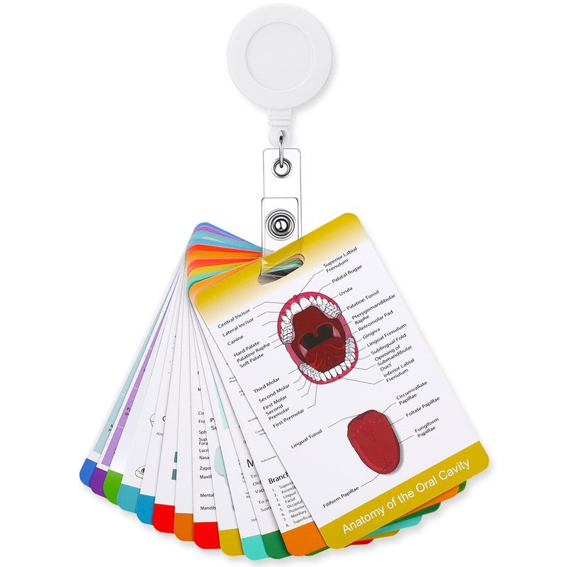 13 Pieces Dental Hygiene Reference Study Cards