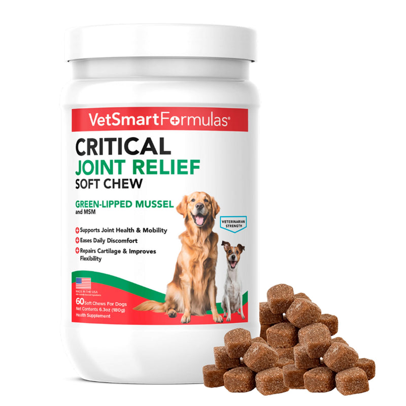 VetSmart Formulas Critical Joint Relief Soft Chew for Dogs – Hip & Joint Supplement with Glucosamine, MSM, Green-Lipped Mussel – Joint Discomfort, Hip Dysplasia & Mobility Support, Made in USA Soft Chews 60 Soft Chews