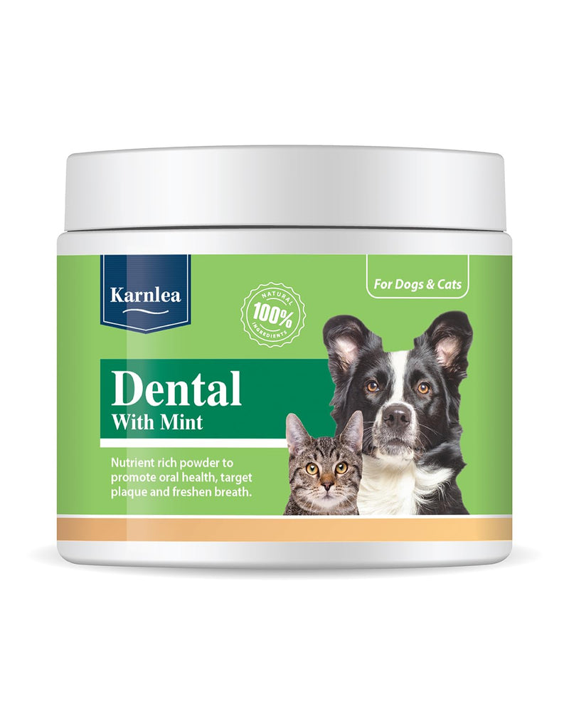 Dental with Mint Plaque Off for Dogs & Cats | 100% Natural Dental Powder to Gently Remove Tartar & Plaque and Prevent Bad Breath | Seaweed & Peppermint Blend | Skin & Coat Boost (200g)