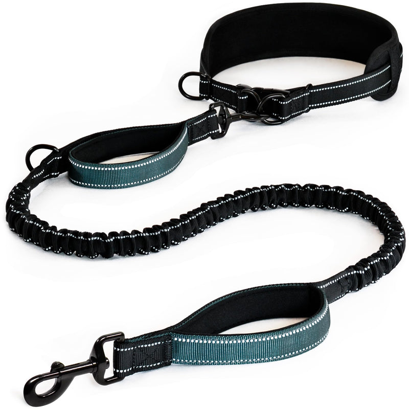 Waist Leash for Dog Walking, Waist Dog Leash for Running, Hands Free with Metal Quick-Release Buckle, Rope Bungee, Neoprene Lumbar Support Black / Iron Grey - BeesActive Australia