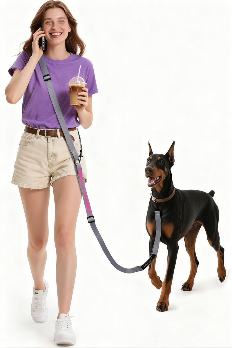 Hands Free Dog Leash, 10.1ft Crossbody & Waist-Wear Adjustable Leash, Dual-Zone Length Control, Shock-Absorbing Handle, Lightweight Rope Leashes for Small & Medium Dogs Grey - BeesActive Australia