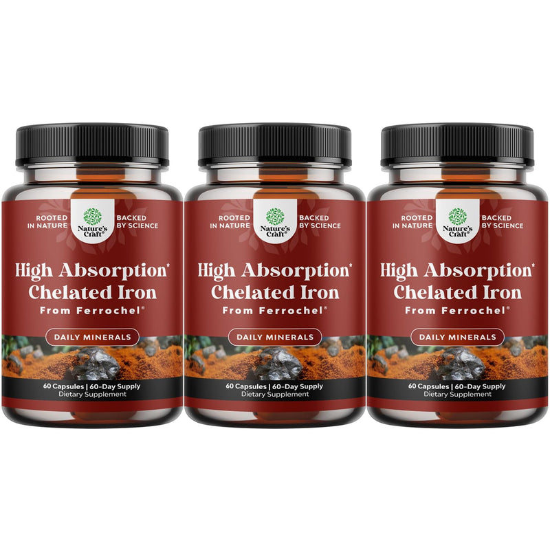 Slow Release Iron Supplement for Women & Men - Supports Health - Blood Support Iron Bisglycinate with Vitamin C - Gentle Energy & Immune Support - High Absorption Ferrous Bisglycinate - 60 Ct - 3pk 60 Count (Pack of 3)