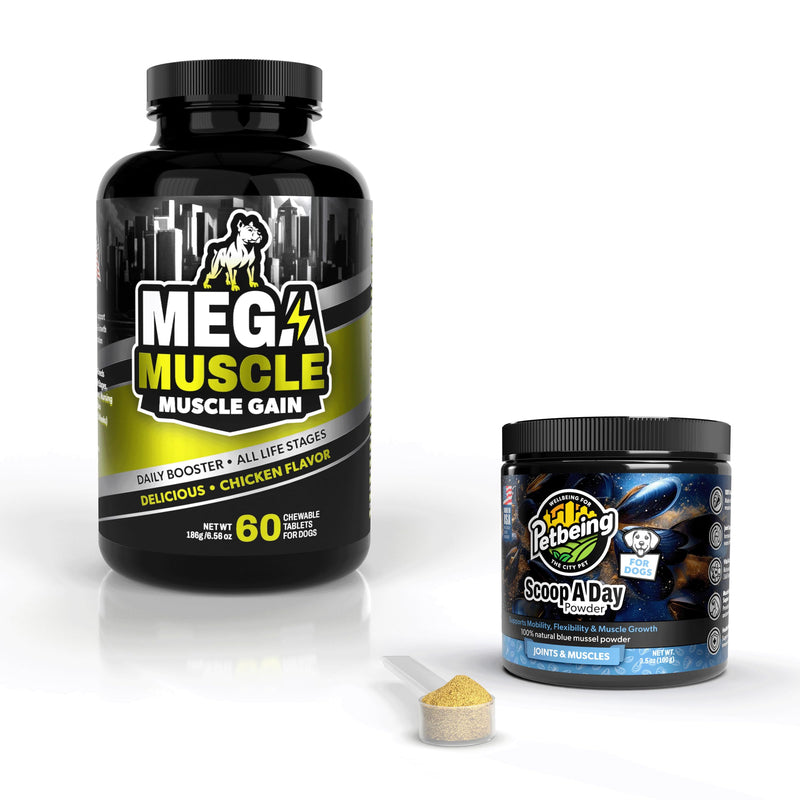 Dog Muscle & Joint Support Bundle – Mega Muscle Chewable Tablets + Scoop A Day Blue Mussel Powder | High Protein, Weight Gain, Mobility & Immune Booster | All Life Stages | Made in USA
