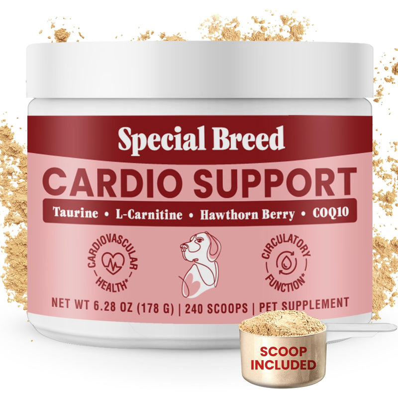 Taurine Supplement for Dogs – Heart Health & Circulation Support – Powder Formula with L-Carnitine, CoQ10 & Organic Hawthorn Berry – 240ct 240 Scoops