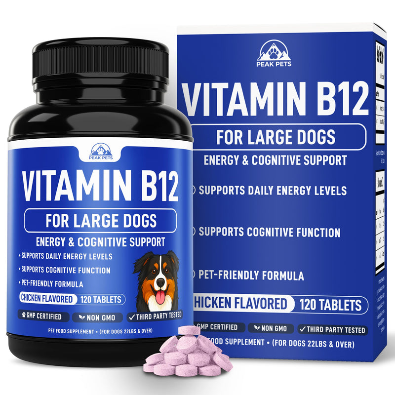 Vitamin B12 Supplement for Medium & Large Dogs with Cobalamin, Folate - Vitamin B12 for Dogs Tablet Energy & Cognitive Support - 120 Chicken Flavored Chewable Tablets -Third Party Tested, Non GMO Medium & Large Dogs (120 Count)