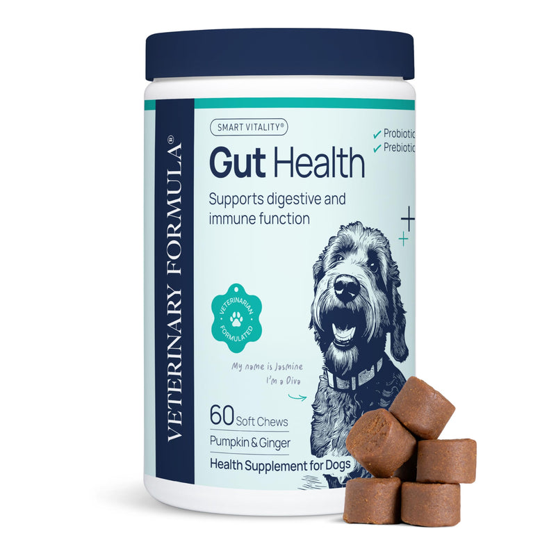 Veterinary Formula Gut Health Supplement for Dogs – Vet-Formulated Probiotic Chews with Digestive Enzymes & Fiber – Smart Vitality Supports Digestive Health, Gut Balance & Stool Quality, 60 Soft Chews 60 ct