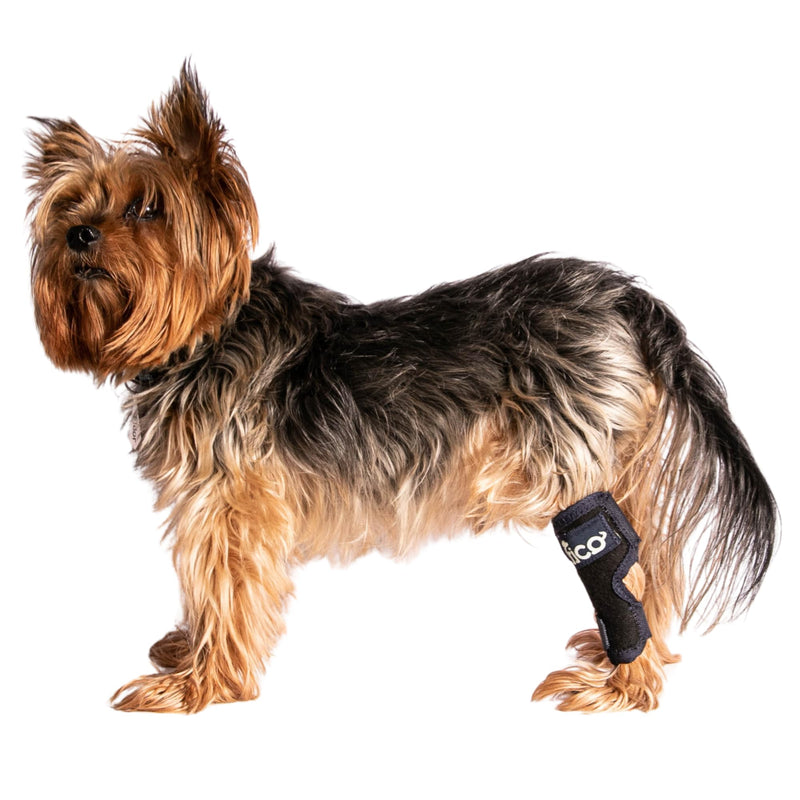 Dog Hock Brace for Ankle Support & Arthritis, Vet Approved Dog Back Leg Brace, Adjustable with Removable Splints, Orthopedic Support for Injuries, Sprains & Post-Surgery Recovery (X Small) X Small