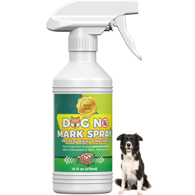 16oz Dogs No Wrong Pee Spray - Dog Training Solution for Housebreaking - No Marking Indoor Solution - Housebreaking Aid - No Pee No Mark Spray 18.6 Fl Oz