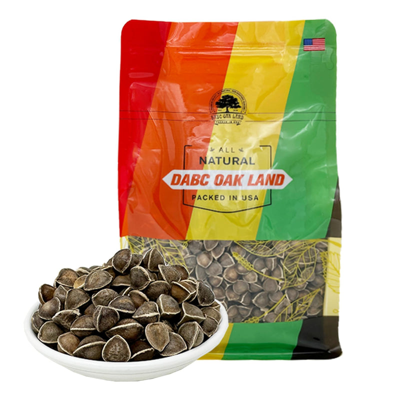 Premium Moringa Seed, Moringa Oleifera, Malunggay, Drumstick Tree Seeds from India Planting 100% Natural, Superfood, Nutritional, Rich in Vitamins Edible Seeds 8OZ/Bag 8 Count (Pack of 1)