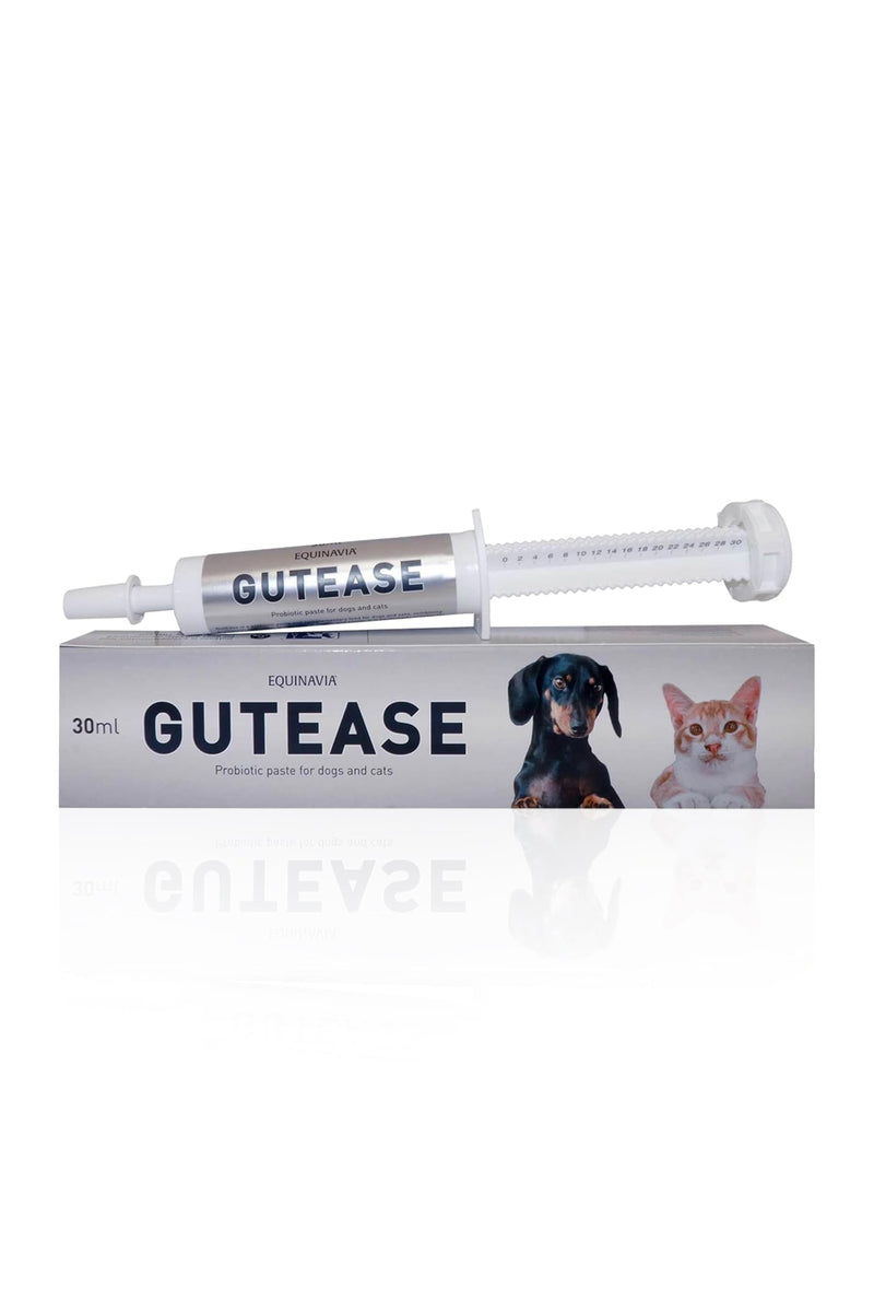 Equinavia GutEase Digestive Support Paste for Dogs & Cats – with Probiotics, Prebiotics, Glutamine, and Pectin – Easy Oral Supplement in 15ml or 30ml Syringe - 1 oz (30 ml) - 1 oz 1 oz (30 ml)