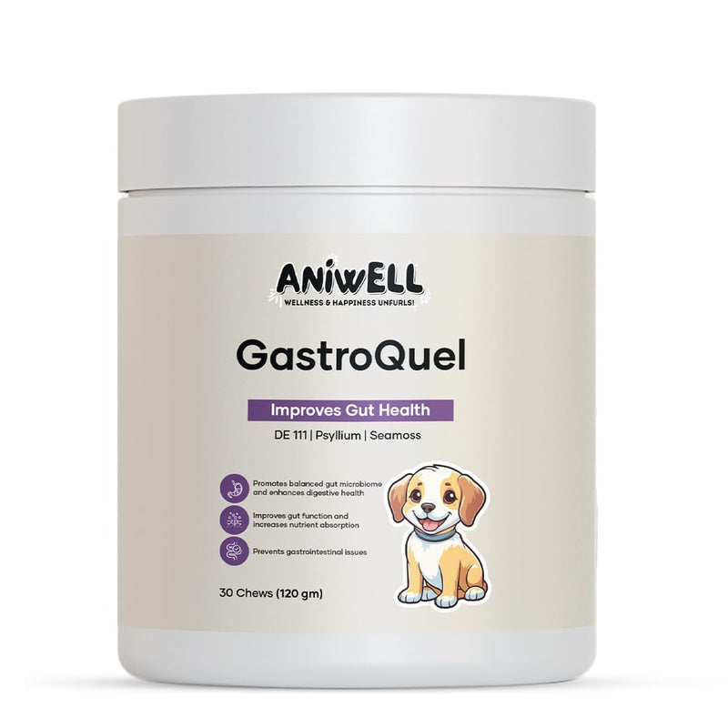 GastroQuel – Probiotics for Dogs | Digestive Support, Gut Health & Bowel Care | Dog Probiotic Chews | Dog Vitamins and Supplements - 30 Count 1