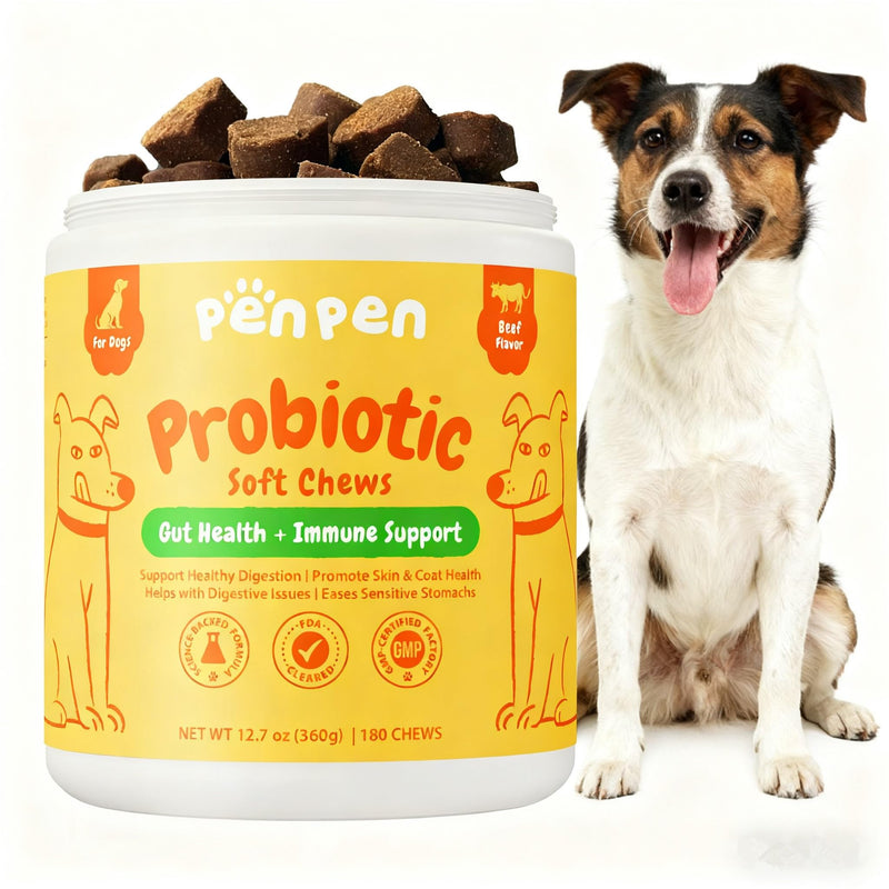 PENPEN Probiotics for Dogs, Dogs Probiotics for Digestive Health, Multi-Probiotic and Enzyme Blend Promote Gut Health & Immune Support, Eases Sensitive Stomachs - Beef Flavor, 180 Soft Chews