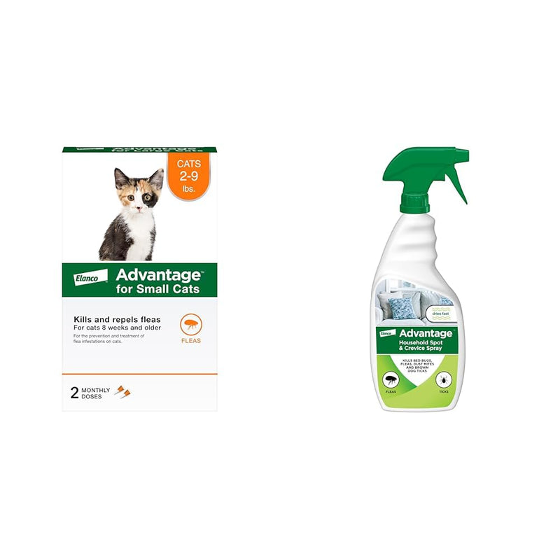 Bundle of Advantage Topical Cat Flea Treatment and Prevention for Small Cats 2-9 lbs. + Advantage Household Spot & Crevice Spray | Kills Fleas & Ticks & Bedbugs | 24 oz. Small Cat + Household Spray