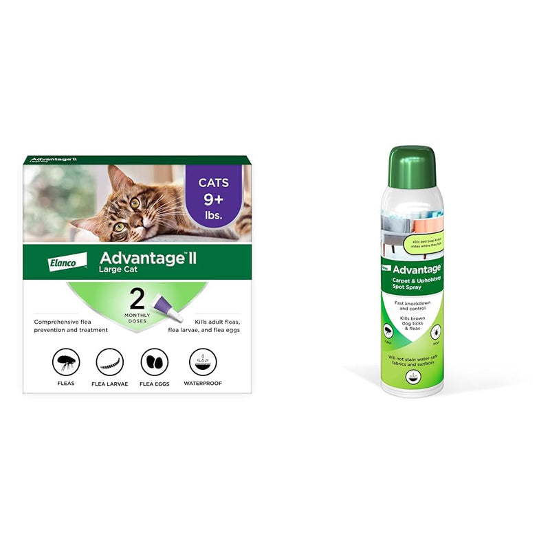 Bundle of Advantage II Vet-Recommended Flea Treatment & Prevention | Cats Over 9 lbs. + Advantage Carpet & Upholstery Spot Spray 16 oz. Large Cat + Household Spray