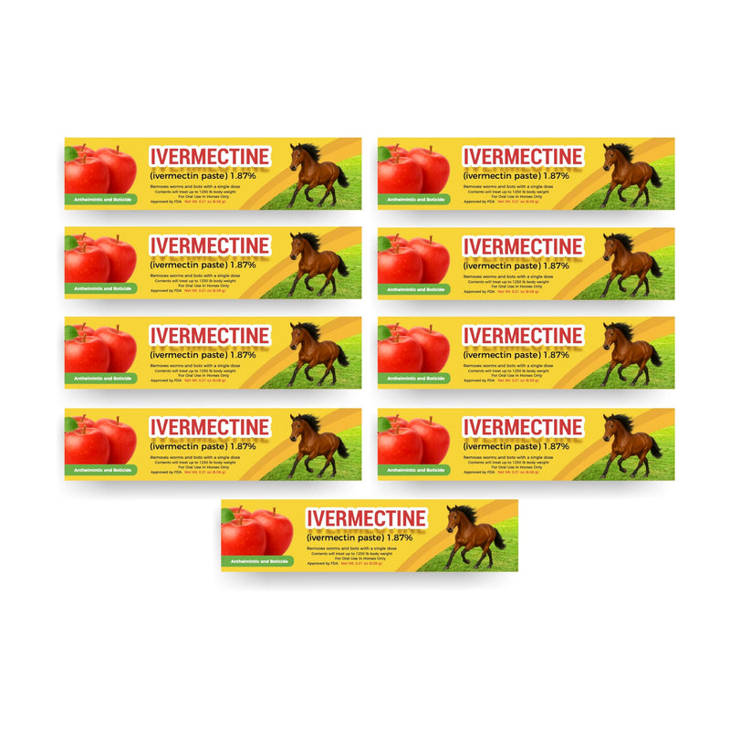 Horse Paste Gel 1.87% – Apple Flavored Oral Syringes – 6.08g Each (2-Pack) – Adjustable Weight Markings – for Equine Use 2