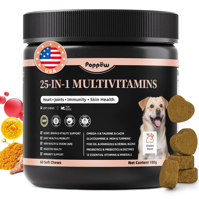 25-in-1 Dog Multivitamin Chews – All-in-One Daily Vitamins & Supplements for Dogs, Joint Support with Glucosamine MSM, Omega-3 Skin & Coat, Gut, Heart & Brain, All Breeds & Ages, Chicken, 60 Ct 60 Count