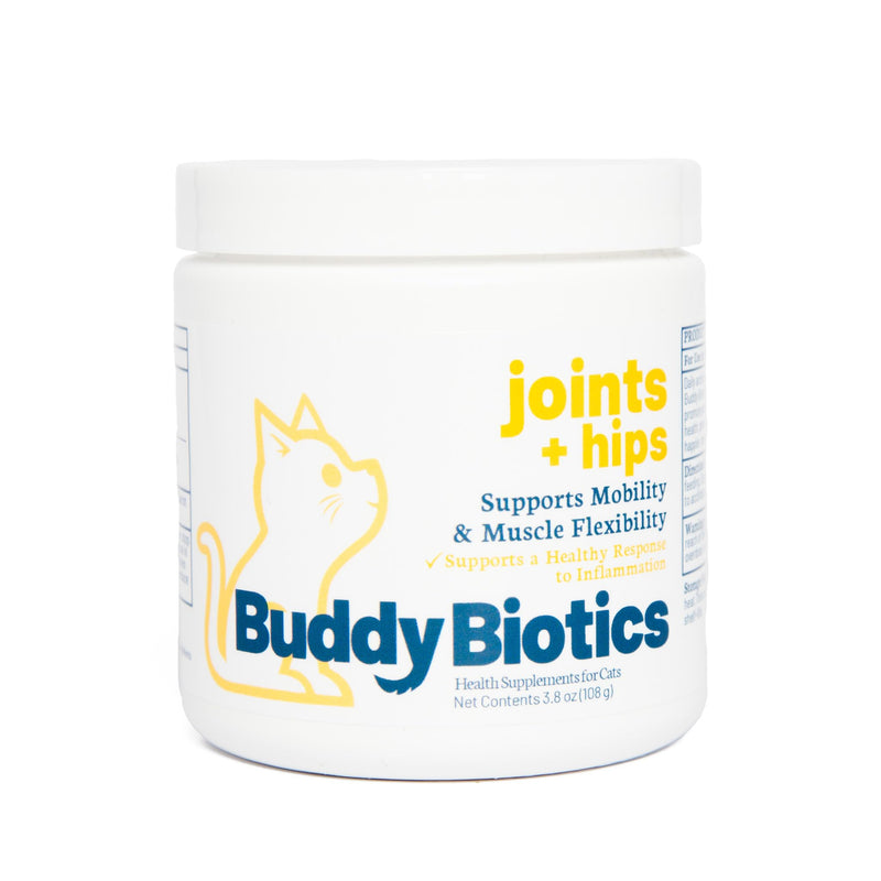 Joint + Hip Support Powder for Cats – Glucosamine, Chondroitin & MSM with Systemic Enzymes, Supports Mobility, Flexibility & Tissue Health, Easy Sprinkle-On Formula