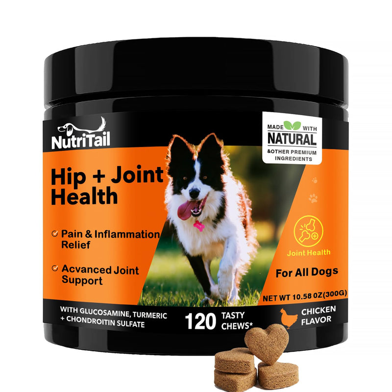 Hip & Joint Health Soft Chews for Dogs – Glucosamine, Turmeric, Omega-3 & Chondroitin – Natural Joint Supplement for Mobility, Pain & Inflammation Relief – Chicken Flavor, 120 Soft Chews