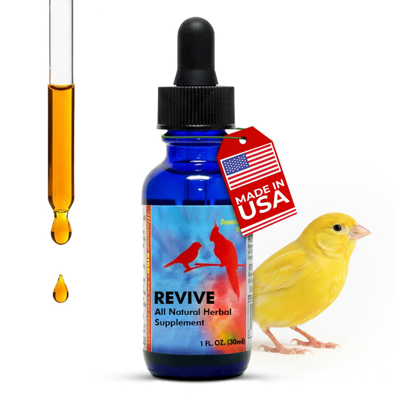 Morning Bird Revive 1 Fl oz – Herbal Extract Blend for Immune Support for Birds - Improved Liquid Formula for Optimum Immune Defense & Faster Absorption - Enhanced Digestive Health, Energy & Wellness