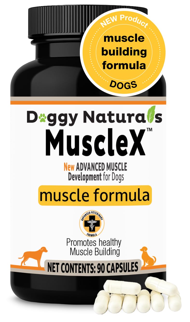 MuscleX™ Canine Muscle Formula Dogs with CaHMB 500 mg and Vitamin D3 - Natural Muscl Building Formula - Helps Reduce Muscle Loss Due to Normal Aging and Improves Recovery from Injury (90 Capsules)