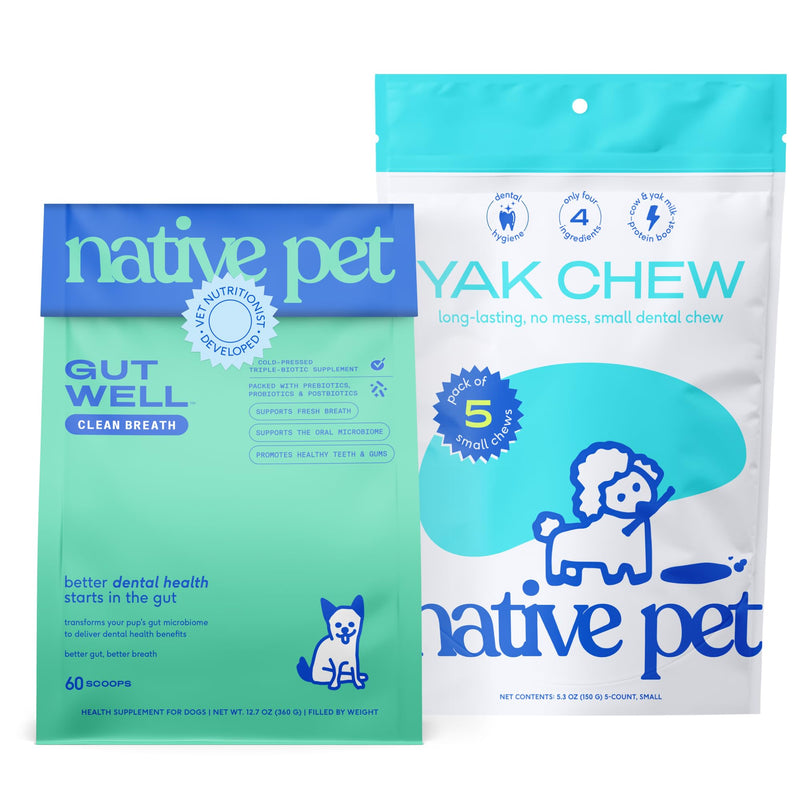 Native Pet Fresh Breath Bundle: 60 Scoops GutWell Clean Breath - Dog Breath Freshener & 5 Small Yak Cheese Himalayan Dog Chews - Long Lasting Dental Sticks