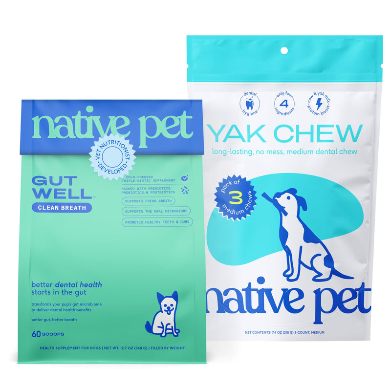Native Pet Fresh Breath Bundle: 60 Scoops GutWell Clean Breath - Dog Breath Freshener & 3 Medium Yak Cheese Himalayan Dog Chews - Long Lasting Dental Sticks