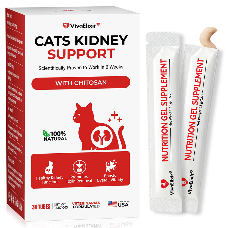 Cat Kidney Support Chitosan & L-Lysine – Boosts Kidney Health & Function, Promotes Toxin Removal, Restores Kidney Function, Enhances Vitality – Natural Ingredients for Cats – 30 Tubes