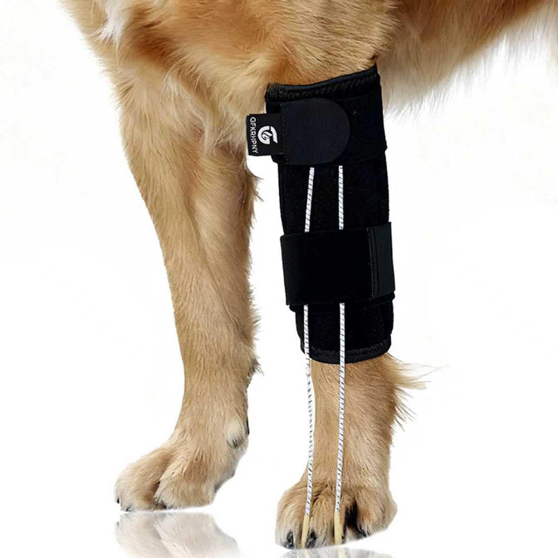 Dog Front Leg Support Brace for Foot Drop, Canine Knuckling Prevention, Toe Dragging Assistance S