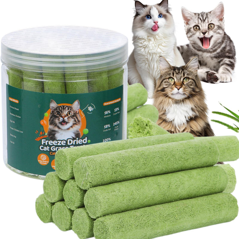 110g Cat Grass Sticks for Indoor Cats, Natural Freeze-Dried Treats, Hairball Treatment, Edible Chew Toy Snack for Teething & Hairball Removal 3.88 Ounce (Pack of 1)
