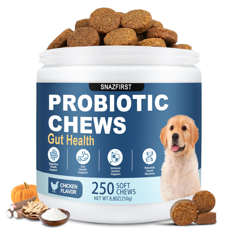 Probiotics for Dogs, Dog Probiotics Chews for Digestive Health & Gut Health, Improve Immune System,Constipation & Diarrhea Relief(Chicken Flavor, 250 Chews) 250 CHEW